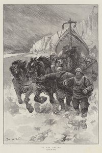 To the Rescue!